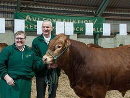 Nogle fik taget farvel-billeder af deres dyr