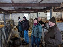 Interesserede gæster på fodergangen