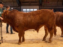 Tyre 14-16 mdr. Fløjvinder Høivang Schak–ET, fra Esben Bo Knudsen, Thisted