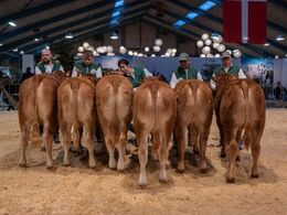 Kvier 8-10 mdr. Fløjvinder Thomsen Top (tv), fra Thomsen Limousine, Erslev