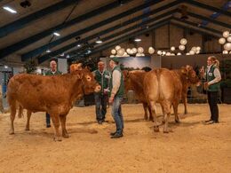 Kvier 24-30 mdr. Fløjvinder Karensminde Rosemynde (tv), fra Søren Hedegaard Jensen, Ansager