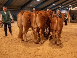 Bedste hundyr skal findes – det blev Birkely Soffi (tv), fra Grunnet Limousine, Billund