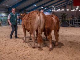 Bedste limousine skal findes – det blev Birkely Soffi (tv), fra Grunnet Limousine, Billund