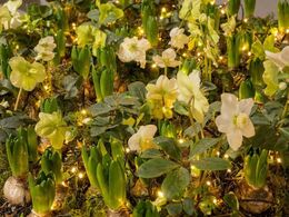 Julestemningen havde indfundet sig i Herning