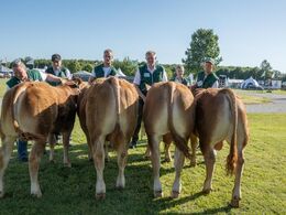 Bedømmelsen af tyre i alderen 6-8 mdr. var let, for der var kun én, Bøge Storm PP (tv) fra Birgit Bøge, Vinderup.  Tyre i alderen 8-10 mdr. er på samme billede. Fløjvinder blev Engvang Sultan (nr. 2 fra venstre) fra Mads Simonsen, Rønde