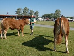 Tyre 16-18 mdr. Fløjvinder Randers San Di Ego fra Freddie L Christiansen, Randers