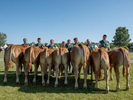 Kviebedømmelsen ligeledes efter alder. Kvier 6-8 mdr. Fløjvinder Karensminde Smukke (tv) fra Søren Hedegaard Jensen, Ansager