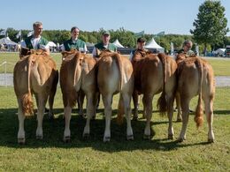 Kvier 8-10 mdr. Fløjvinder Engvang Sofia fra Mads Simonsen, Rønde