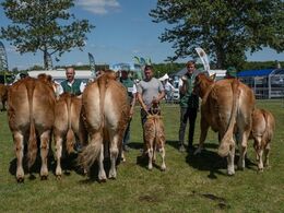 Køer under 3 år m. kalv. Fløjvinder Ingerminde Pauline fra Lars Søndergaard Sørensen, Brovst