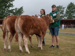 12-11 Tyre 6 - 8 mdr. Fløj (tv) til Bøgely Nimbus fra Tommy Jessing, Brørup