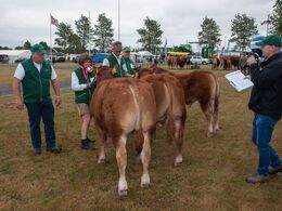 12,12 Tyre 8-10 mdr. Fløj (tv) til Balløjgårdens Norton fra Christian Dybro Brandt, Vojens