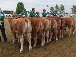 12,21 Kvier 6 – 8 mdr.  Fløj (tv) til Randers Nadia fra Freddie L. Christiansen, Randers SV