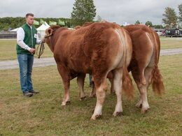 12,17 Tyre 16-18 mdr. Fløj (tv) til Grunnet Olympic fra Michelle Høyer og Simon Smidt, Ferritslev Fyn