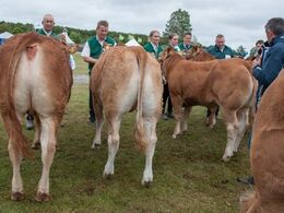 12,25 Kvier 12-14 mdr. Fløj (tv) til Karensminde Odelia fra Søren Hedegaard Jensen, Ansager