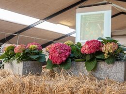 Scenen er sat til Dansk Limousine Forenings Jubilæumsskue 2022