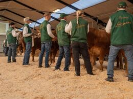 Tyre 12-14 mdr. Set fra trækkersiden.