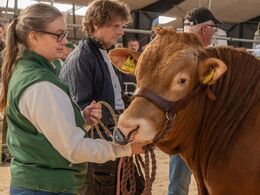 Tyre 14-16 mdr. Fløjvinder Hodde Saxo fra Krogens Limousine, Ferritslev Fyn