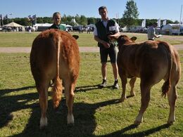 Tyre 6 - 8 mdr. Fløj (tv) til Engkjær Kilimanjaro, fra Engkjær Limousine v/Jan Winum Povlsen, Brørup