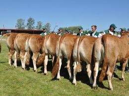 Kvier 21 - 24 mdr. Fløj (tv) til Randers Interlim fra Freddie L. Christiansen, Randers