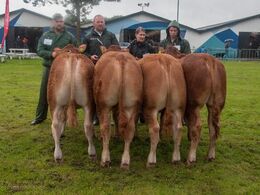 12,11 Tyre 6 - 8 mdr. & 12-12 Tyre 8 - 10 mdr. En tyr i hold 12,11, Thomsen Louis fra Thomsen Limousine, Erslev (tv i billedet) Tre tyre i hold 12,12 - Fløj (nr. to fra venstre) til 36364-01080 fra Jens Christian Jensen, Brønderslev