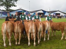 12,22 Kvier 6 – 8 mdr. Fløj (tv) til Gandrup Lykke fra Lars Juellund, Arden