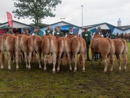 12,25 Kvier 12 - 14 mdr. Fløj (tv) til Risvang Lucca fra Bent Svenning Jessen, Brørup