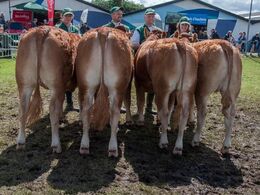 Bedste par Bedste par fra Bøgely Limousine v/ Tommy Jessing, Brørup (tv i billedet)