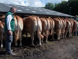 Bedste afkomsgruppe Afkom efter Eden blev bedste afkomsgruppe