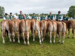10 – Kvier 6-8 mdr. Fløjvinder (tv) Bøgely Ulva fra Bøgely Limousine, Brørup