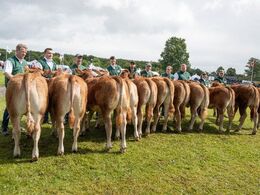 11 – Kvier 8-10 mdr. Fløjvinder (tv) Grunnet Unika fra Grunnet Limousine, Billund