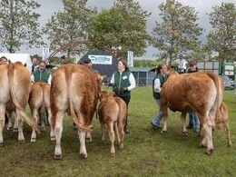 20 – Køer under 3 år m. kalv. Fløjvinder (tv) Eg’s Schila fra Hanne Eg Østergaard, Karby