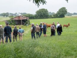 Endelig ophold i regnen så dyrene kunne besigtiges