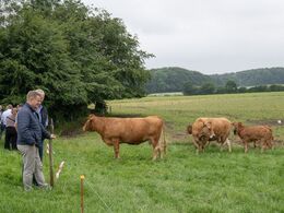 Nogle dyr var pænt nysgerrige på gæsterne