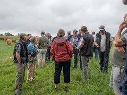 God stemning og masser af limousinesnak