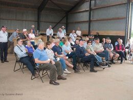 De australske gæster lytter interesseret til beretningen om det danske kødkvæg – selvfølgelig med fokus på limousiner