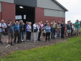 Endelig udenfor og se på limousiner