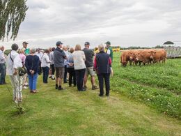 Herefter gik turen til folden med løbekvier – alle efter Engkjaer Get It, som har været foldtyr i besætningen