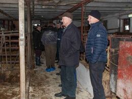 Der var trængsel på staldgangen i den gamle del af stalden