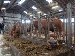 Foderbordsdetalje ifm. niveauændring