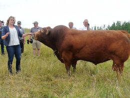 På marken hos Richmond Ranch