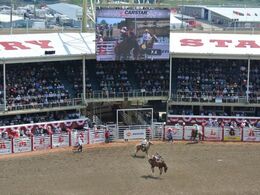 Rodeo. Hovedpræmier i de forskellige discipliner på 100.000 dollars!