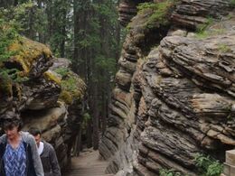 Athabasca Falls, kæmpe vandfald nær Jasper