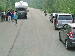 Måske mulighed for at se en bjørn