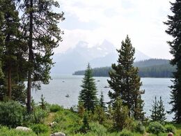 Maligne Lake