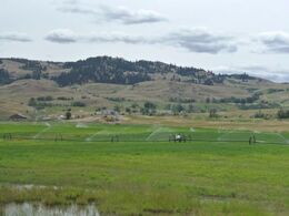 Markvanding. Lake Douglas Ranch