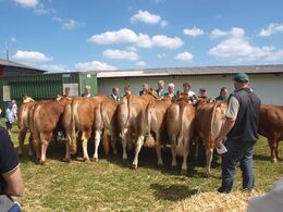 Ærespræmie konkurrence