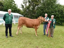 Halvæble Kristel. 23 point, bedste yngre kvie. 2 plads i Interbreed for hundyr under 18 måneder.