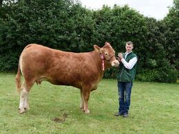 Grunnet High Class. 23 point og ærespræmie. der ud over var der ærespræmie til Mathias Olsens Kvie Skovlys Josefine. (billede mangler)