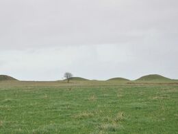 Næste besøgsmål var på Katrinelund hos Lene og Bjarne Pedersen. De bor ved Vinding nær Bryrup i et landskab præget af fortidsminder.
