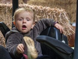 Velkommen til efterårsmøde 2017. Første besætningsbesøg hos Kirsten og Bent Hjort Kloster, Granly Limousine, Over Jerstal ved Vojens. Lille Cathrine, yngste skud på stammen hos Kirsten og Bent, fik næsten lige så megen opmærksomhed som limousinerne i besæ